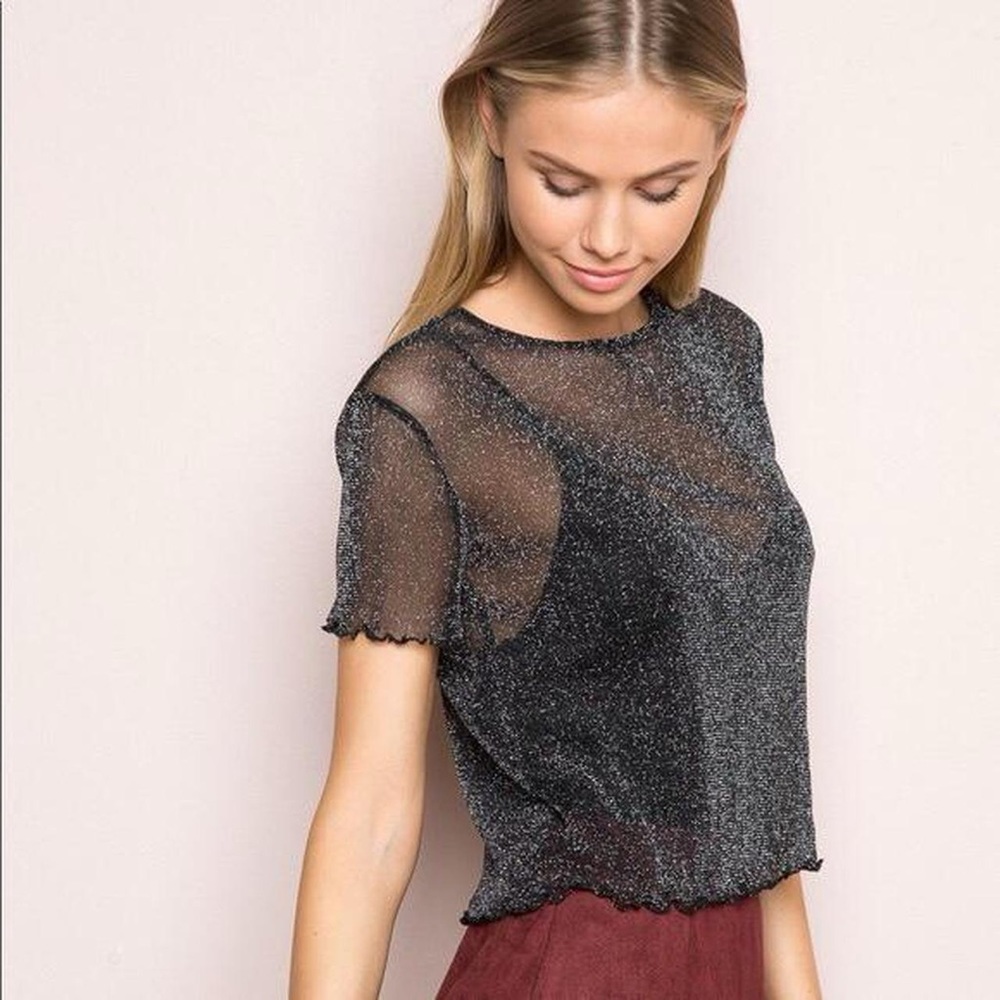 NWOT Brandy Melville Sheer Glitter Mesh Short Sleeve Cropped Top